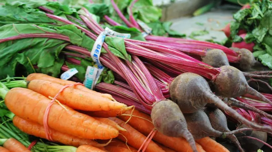 Bottes de carottes et de betteraves sur un étal de marché